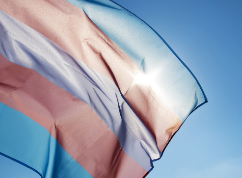 Trans flag waving in the sunlight