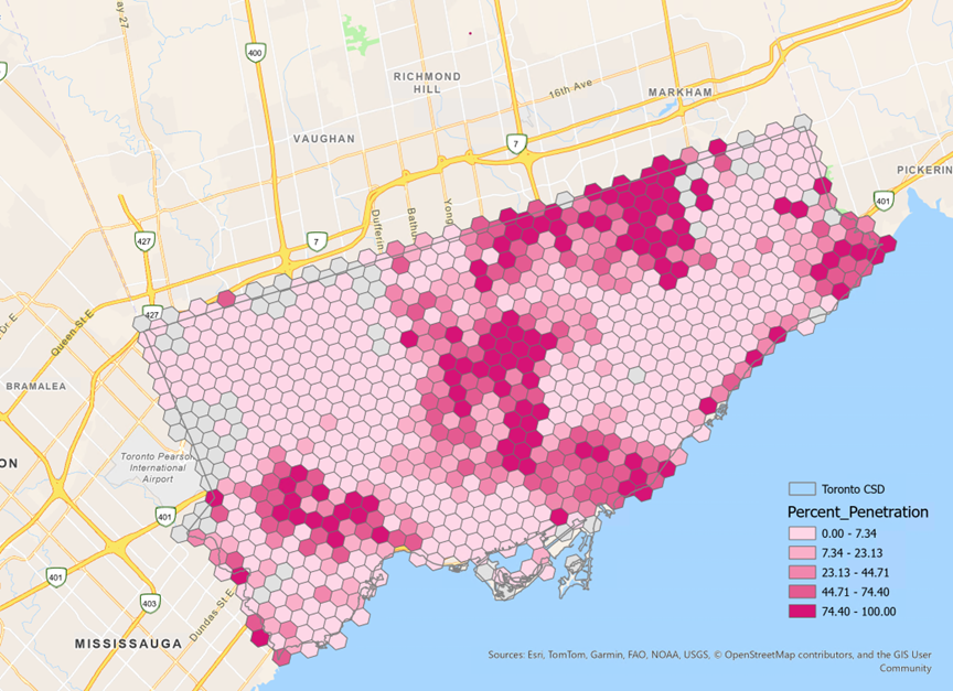 Polygon map showing dominant social groups in Toronto CSD