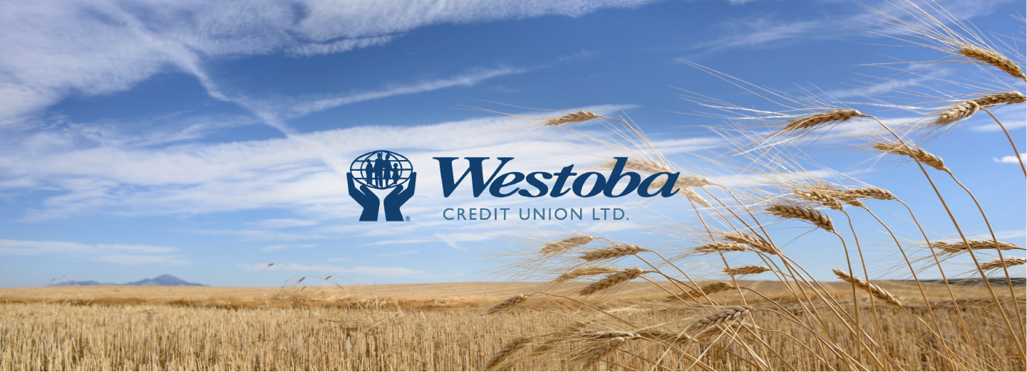 Header image of field for Westoba Credit Union case study