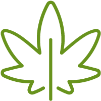 Icon of a cannabis leaf