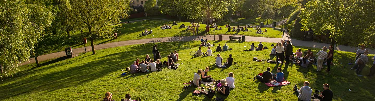 Millennials relaxing on the grounds of a public park