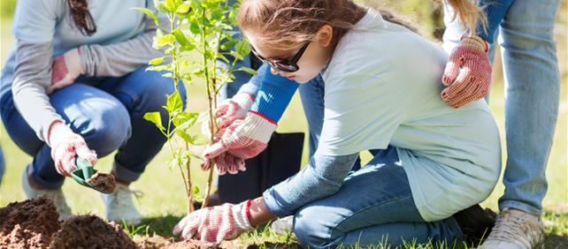 Adult and child in gloves planting a sapling, representing the not-for-profit sector