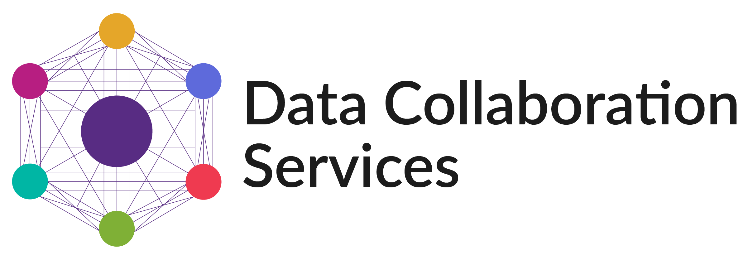 Data Collaboration Services logo