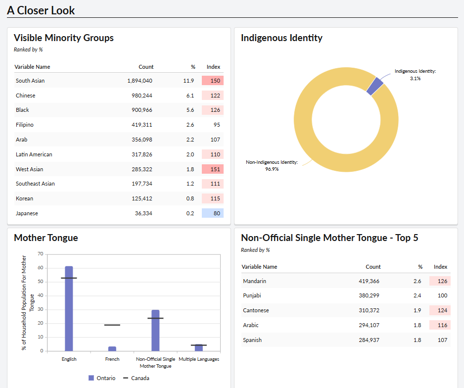 An ENVISION screenshot of a demographic report.