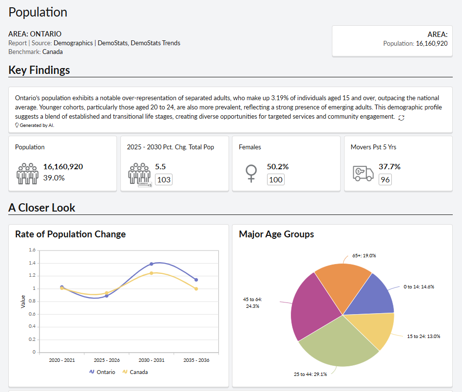 An ENVISION screenshot of an executive summary.