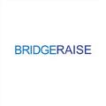 BridgeRaise-Logo